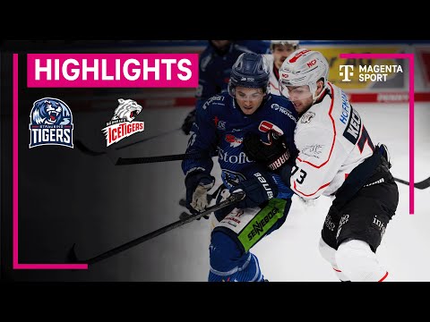 Straubing Tigers - Nürnberg Ice Tigers | PENNY DEL | MAGENTA SPORT