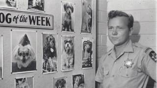 CCSPCA History - 70 Years