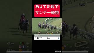 【パドック確認】歩様が怪しい馬を軽視した結果… #競馬