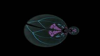 The seeds-“Up In Her Room”.