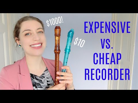 $10 vs. $1000 recorder! | Team Recorder