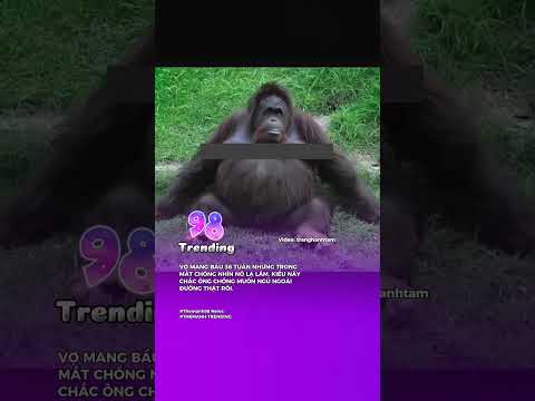 Vợ mang bầu 36 tuần  nhưng trong mắt chồng kiểu