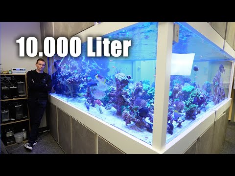 10,000 litres of marine aquarium *impressive* - PlanktonPlus Aquaristik