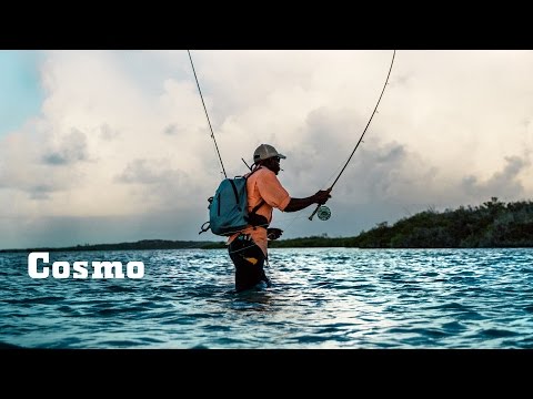 download lagu mp3 mp4 Yeti Co, download lagu Yeti Co gratis, unduh video klip Yeti Co