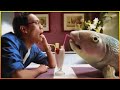 Best Fish Commercials - #234 