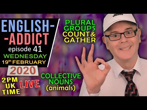 Collective Nouns / English Addict 41 / Live Lesson / Wed 19th Feb 2020 / single/plural/group
