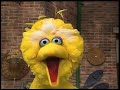 Classic Sesame Street Big Bird Amazing Tag 3191