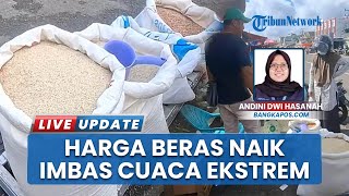 Harga Beras Lokal di Pasar Pagi Pangkalpinang Meroket, Dipicu Cuaca Ekstrem dan Stok yang Menipis