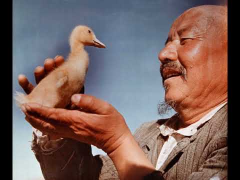 021125 (Noisevember 2025)