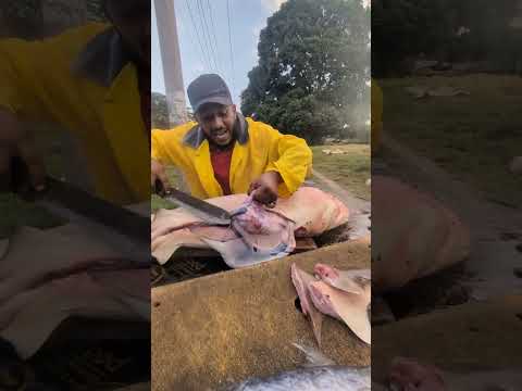 UNAAMBIWA, PAPA ANASIRI NYINGI MNO