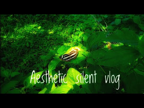 ☘️Aesthetic Silent Nature Vlog🌸Aloe vera Gardening | Animals, Flowers, Worms