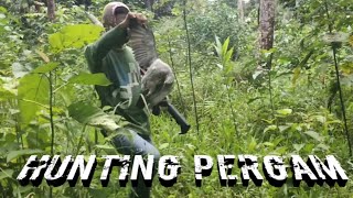 Hunting Pergam & Walik