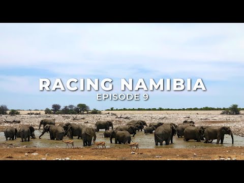 A Week in Etosha National Park - RACING NAMIBIA 🇳🇦 EP 9