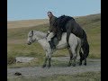 Of Horses And Men Official Trailer