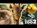 HUGE PLANET ZOO 2 GAMEPLAY ANALYSIS And I Also Visited Frontier