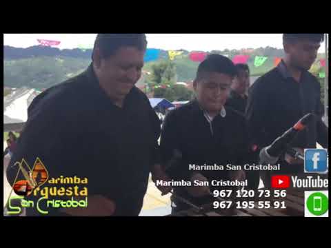 Marimba Orquesta "San Cristóbal" (EN VIVO)