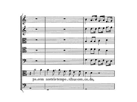 Rovetta: Salve mi Jesu - Scholl