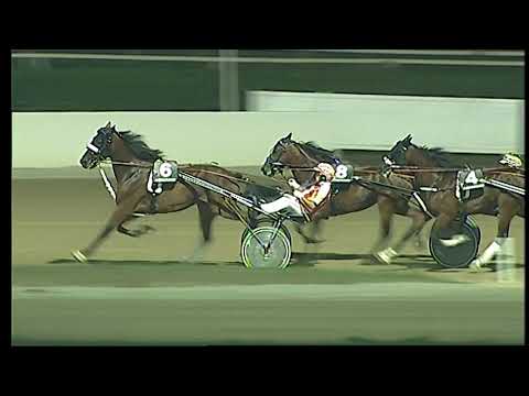 Napoli Trotto 27/08/2021 - 3ª corsa