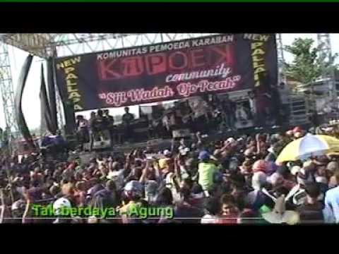 tak berdaya new palapa karaban pati 2012