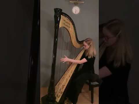 XII Concorso Internazionale d'Arpa M.Tournier - Natalia Skonieczna, categoria B