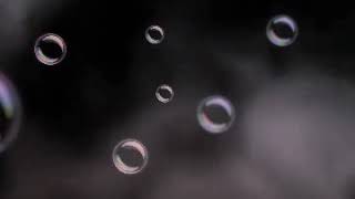 Download lagu Alusi Au #Rock 😱🤘 ⚘🖤⚘ mp3 Download lagu Alusi Au #Rock 😱🤘 ⚘🖤⚘ mp3