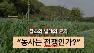 [이장집 에너지농법] 586. 자연과 함께하는 농사, 씨앗의 비밀.