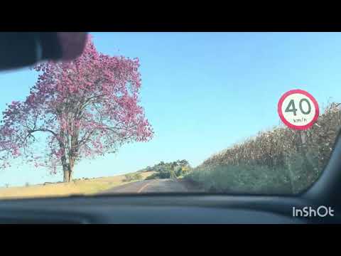 São João do Ivai - Godoy Moreira 2025