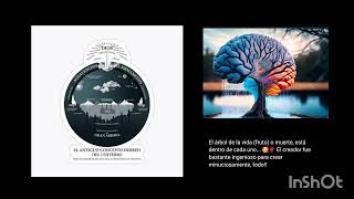 &quot;Hágase la luz...&quot;