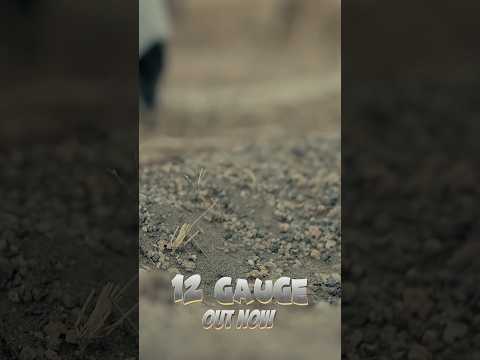 12 Gauge | Out Now !! #newmusic #citizenschraider #