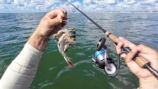 Chunking Blue Crabs Just Off The Beach For Whatever I Can Catch & Eat
