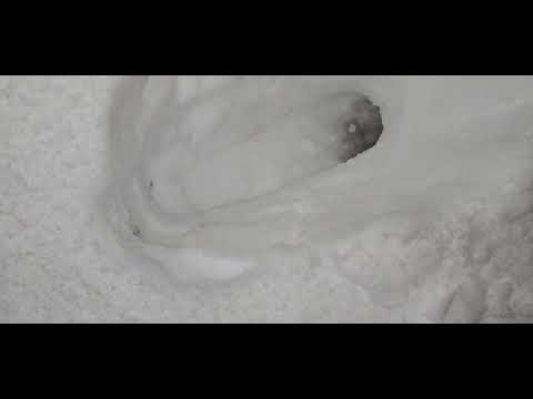 3 or 4ft of snow flagstaff AZ Jan 2023