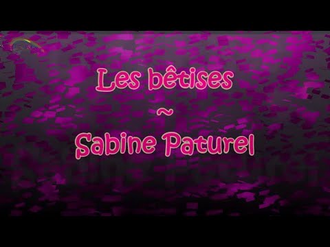 Prompteur karaoké - Stéfane Lyre - Les bêtises - Sabine Paturel