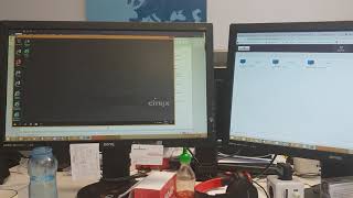 Citrix Window on 2 screens or monitors