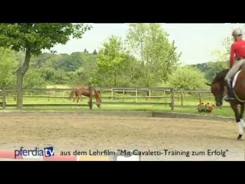 Mit Cavaletti-Training zum Erfolg - so klappt's | Ingrid Klimke