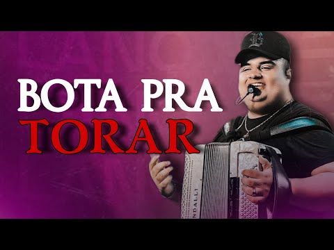 BOTA PRA TORAR TARCÍSIO DO ACORDEON MÚSICA NOVA SETEMBRO 2022