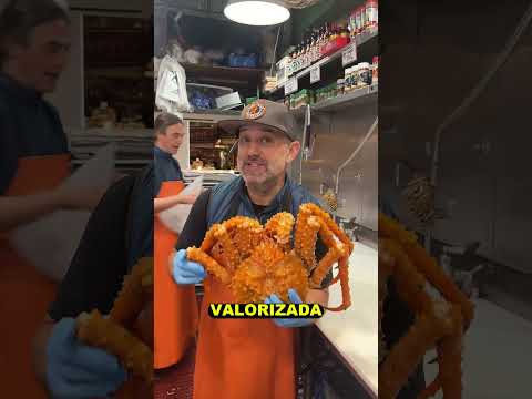 Animais marinhos que só milionários comem! #curiosidades