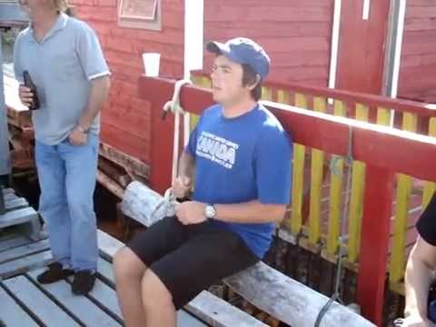 Tom Tobin's Dicky Bird by bottomdweller