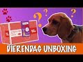 Een dierendagverrassing voor Matzy! | DierenpraatTV
