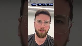 Self-Distillation Makes In-Context Learning Sticks.