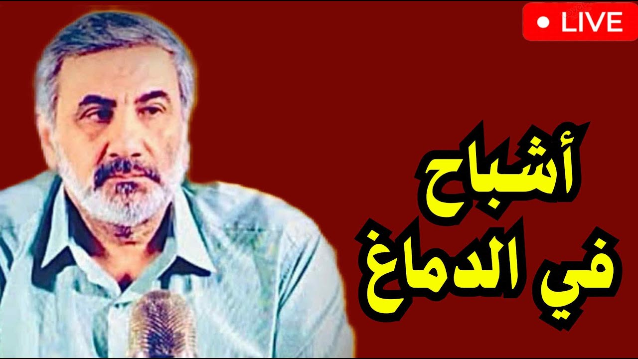 أشباح في الدماغ