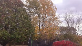 প্রকৃতি যেন অপরূপ রঙ্গিন সাজে সেজেছে!!