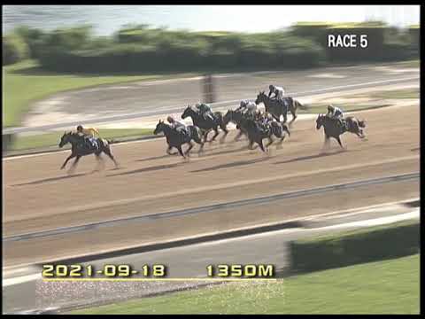 2021-09-18 Macau Meeting Race 5(0005) - THE KWANGTUNG (DIV.2)      CITY GOLD