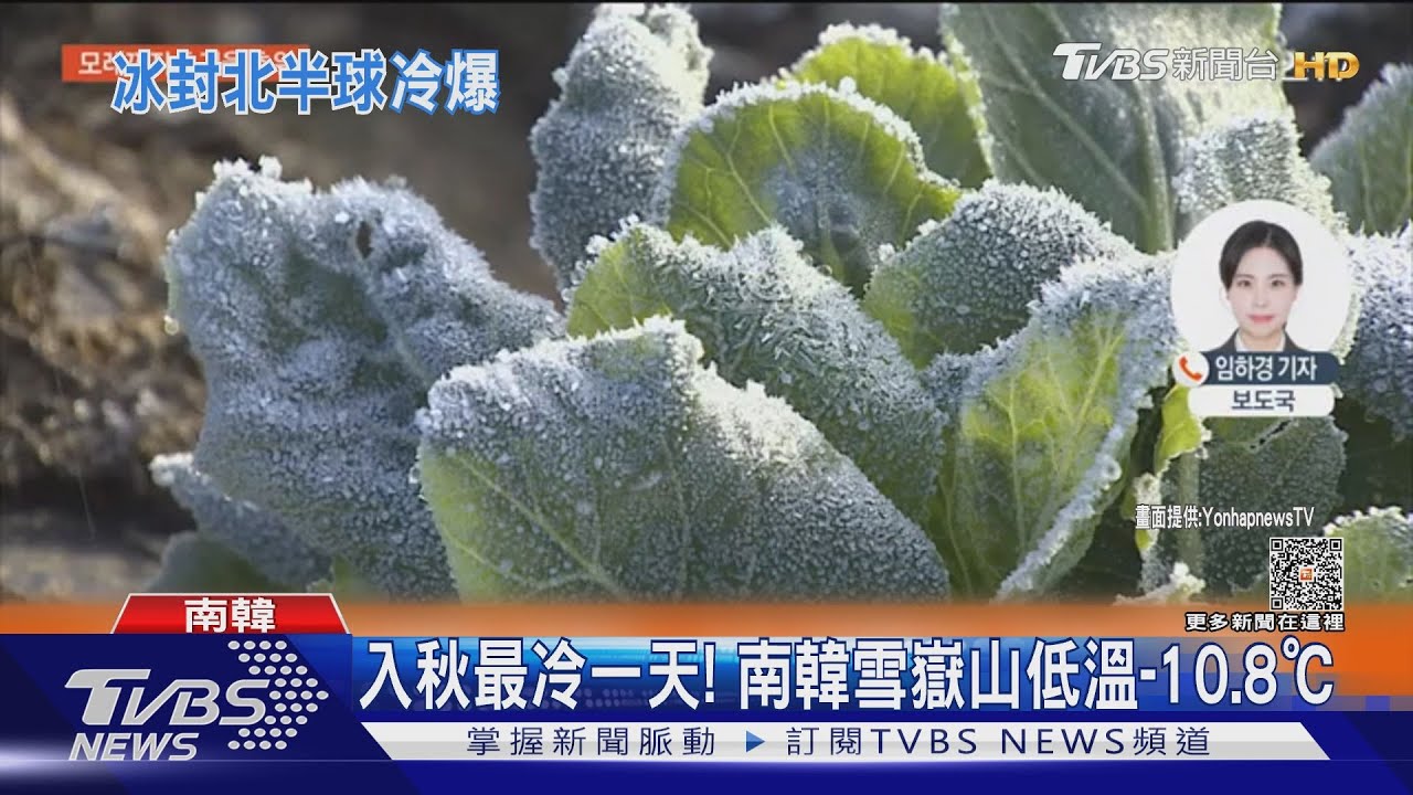 北半球急凍!南韓首爾氣溫逼近冰點 日本北海道積雪40cm
