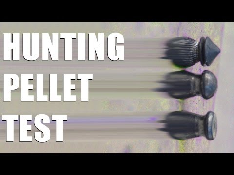 Fieldsports Britain – Rabbit shooting pellets and how to forage for food Fieldsports Britain – Rabbit shooting pellets and how to forage for food