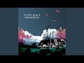 Elements Turn (Switch and PZ Remix)