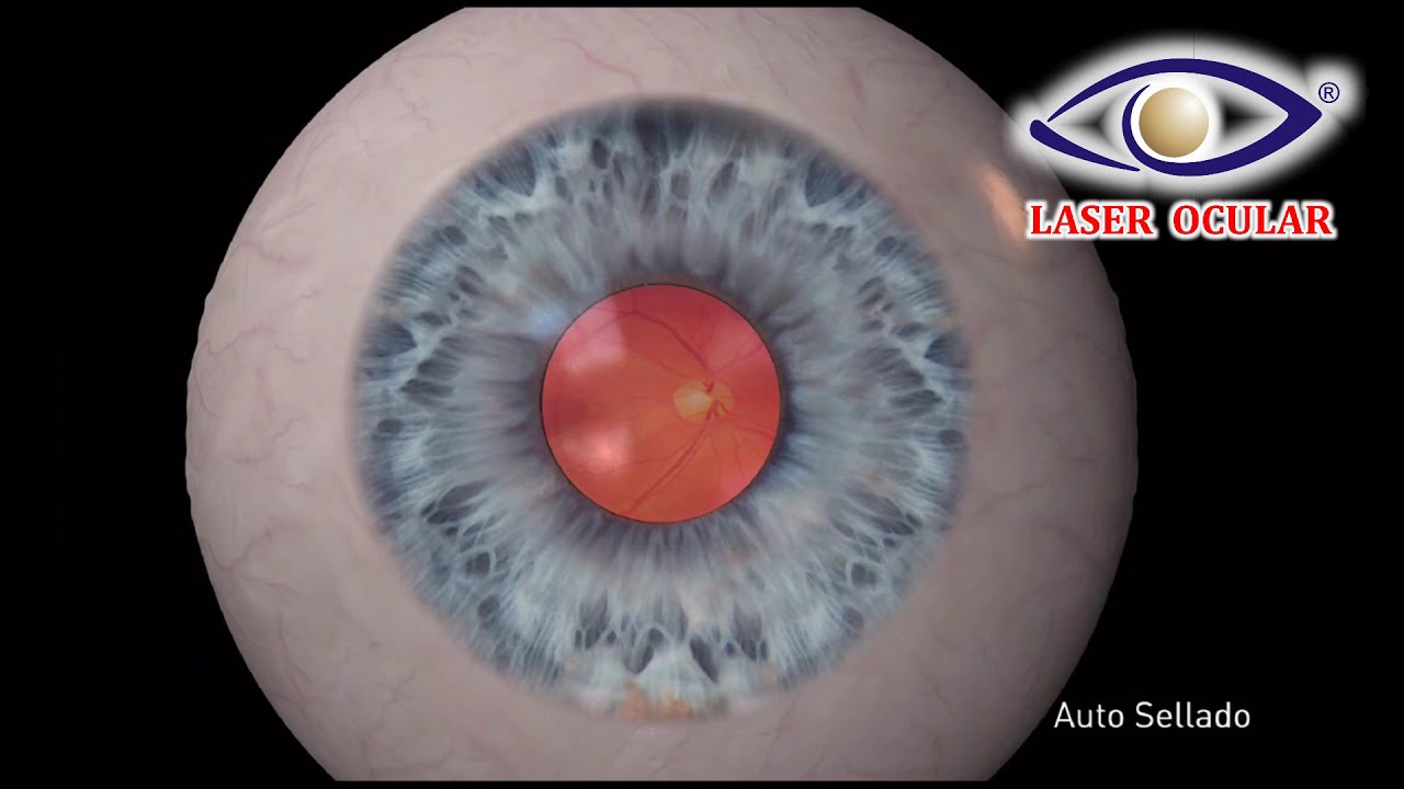 Fabiola De Orta Arellano-15