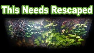 Ripping out all the plants from this Aquascape! | Dragon Valley ReScape