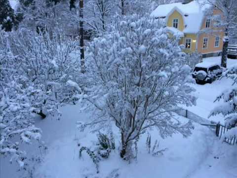 Humphrey Campbell - Noël Noël