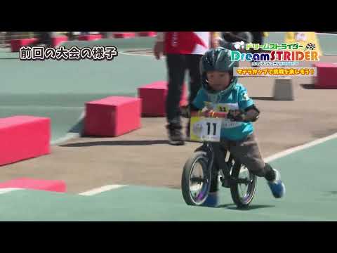Dream STRIDER動画