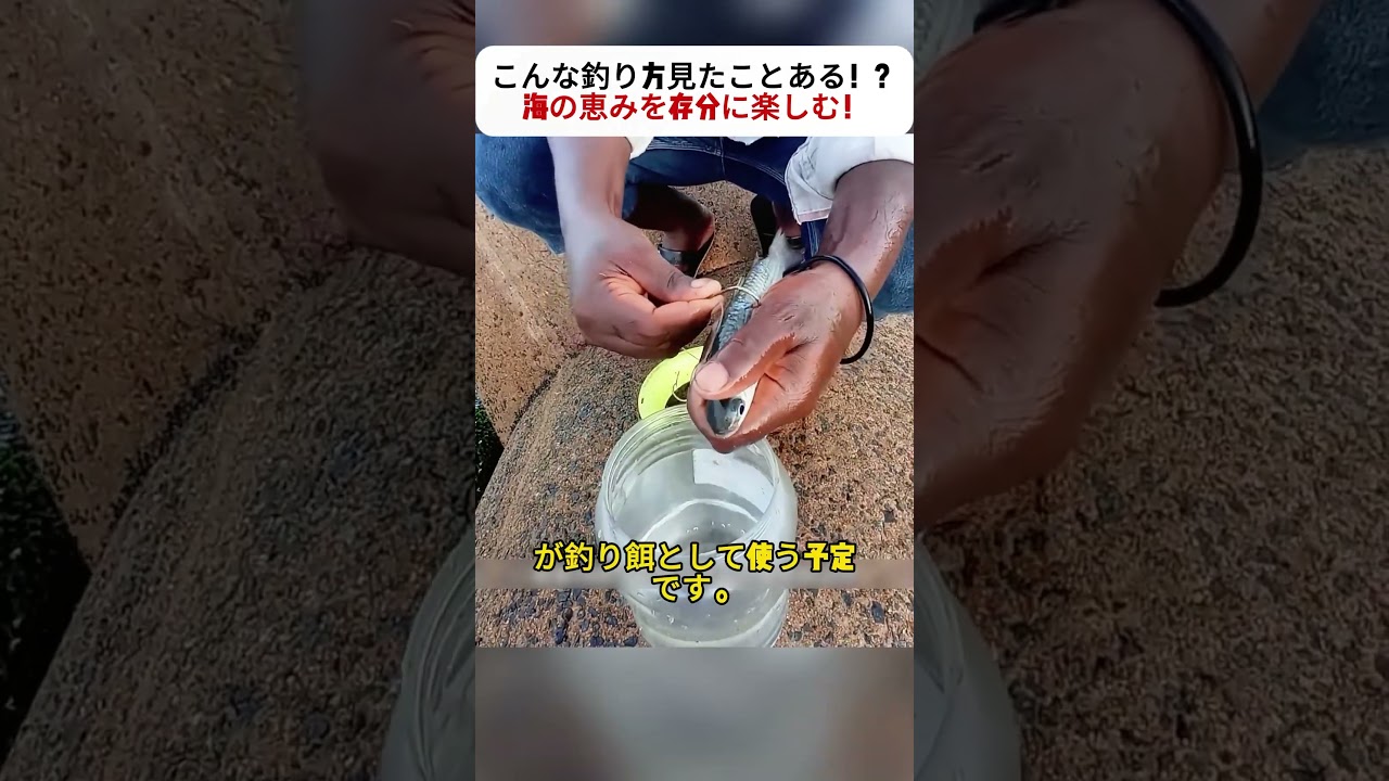 こんな釣り方見たことある！？ 海の恵みを存分に楽しむ！ #釣り #海釣り #真鯛 #釣り餌 #釣りテクニック